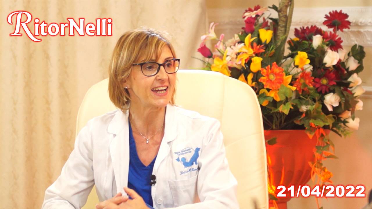 Trasmissione RitorNelli